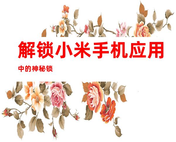 解锁小米手机 应用中的神秘锁